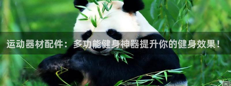 征途国际招商电话地址查询：运动器材配件：多功能健身神