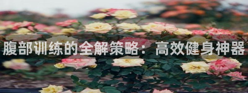 征途国际神州：腹部训练的全解策略：高效健身神器
