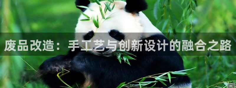 征途国际软件：废品改造：手工艺与创新设计的融合之路