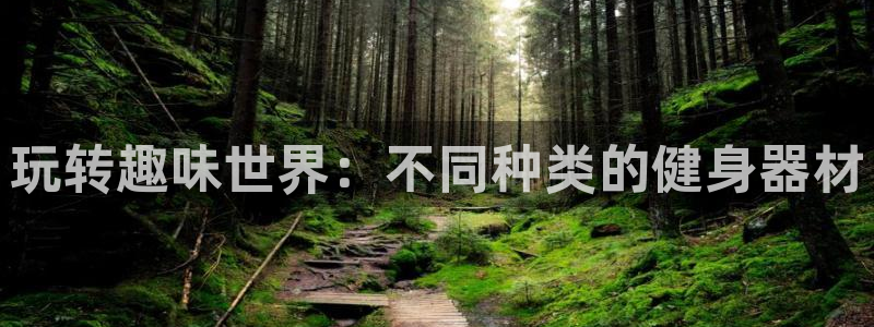 征途国际娱乐40996：玩转趣味世界：不同种类的健身器材