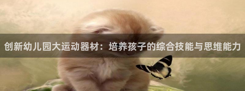 征途国际娱乐40996：创新幼儿园大运动器材：培养孩子的综合