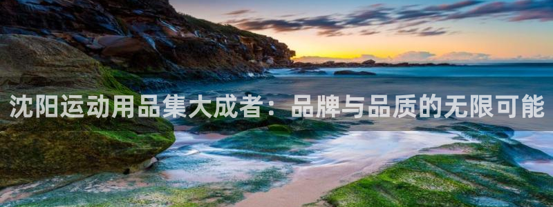 注册征途国际：沈阳运动用品集大成者：品牌与品质的无限可能
