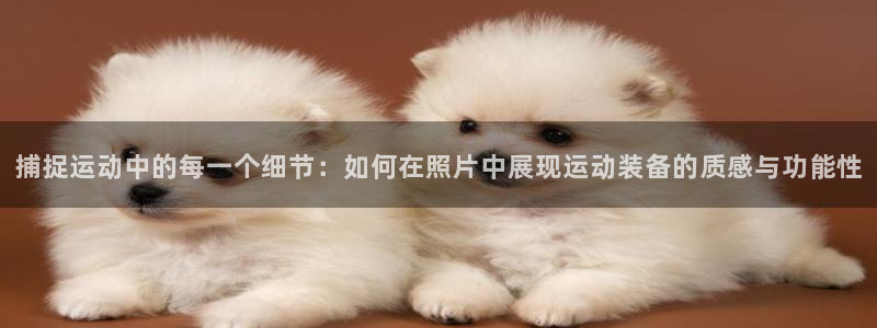 征途国际平台注册流程图：捕捉运动中的每一个细节：如何