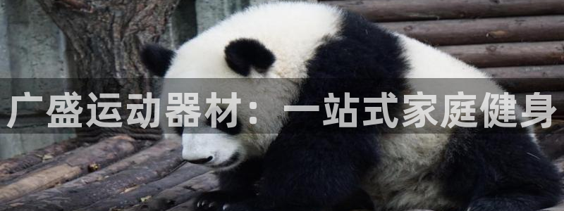 征途国际集团简介：广盛运动器材：一站式家庭健身