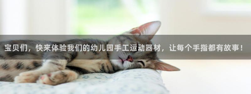 海南征途国际发展怎么样：宝贝们，快来体验我们的幼儿园