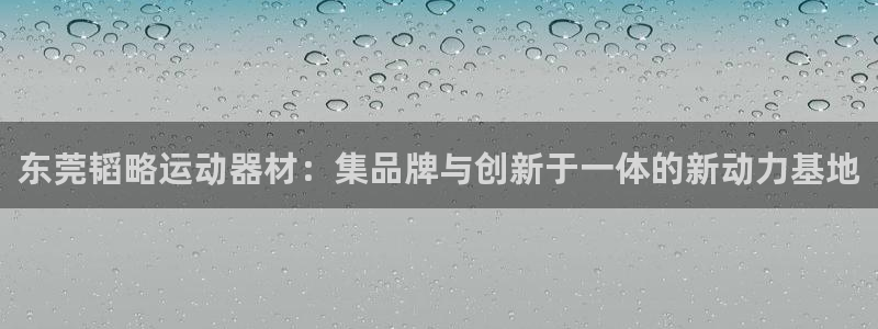 征途国际娱乐平台：东莞韬略运动器材：集品牌与创新于一