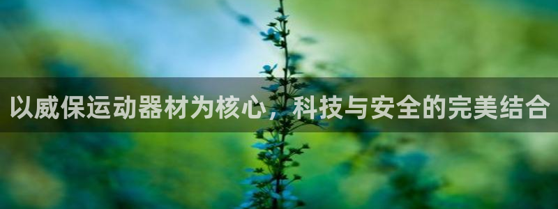 征途国际集团logo：以威保运动器材为核心，科技与安全的完美