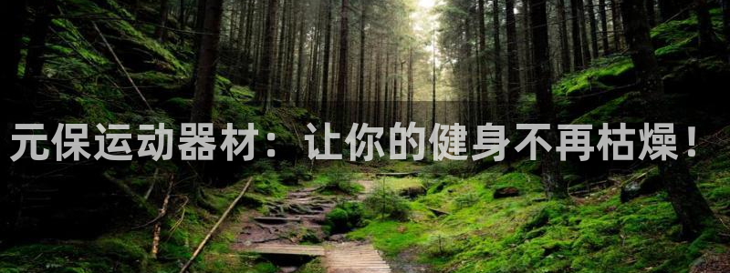 征途国际集团简介：元保运动器材：让你的健身不再枯燥！
