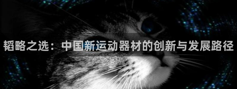 德国征途国际集团