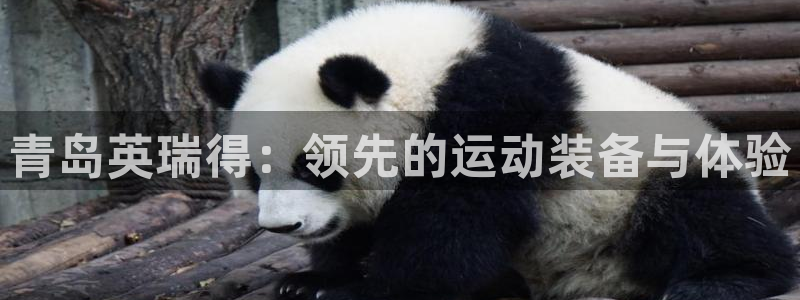 征途国际娱乐40996：青岛英瑞得：领先的运动装备与体验