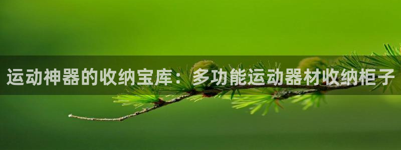 征途国际神州：运动神器的收纳宝库：多功能运动器材收纳柜子