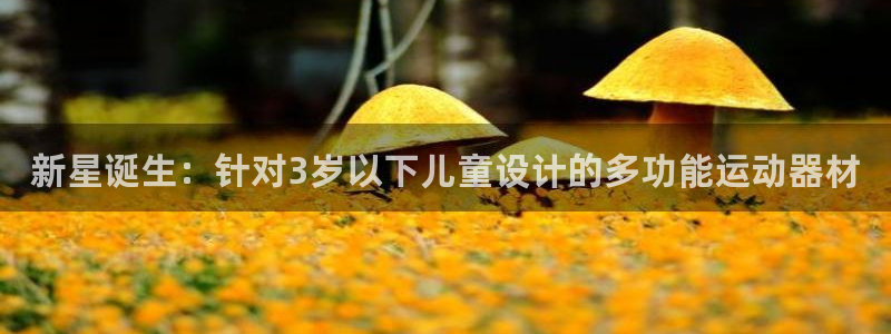 征途国际平台是正规平台吗