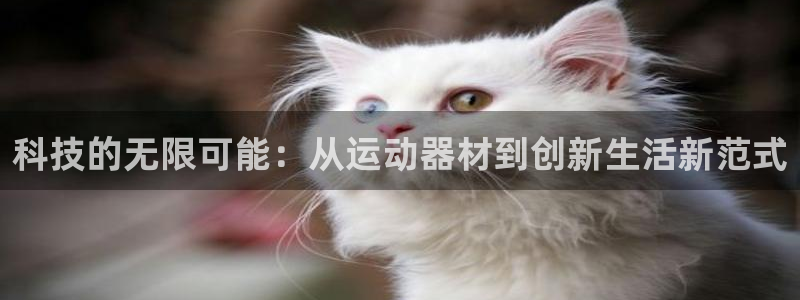 征途国际招商电话号码：科技的无限可能：从运动器材到创新生活新